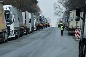 Чеські фермери приєднаються до страйків через імпорт з України