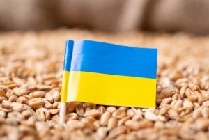 Польща планує перевіряти все українське зерно