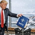 Трамп назвав НАТО «паперовим тигром» і пояснив позицію Путіна / Фото: відкриті джерела